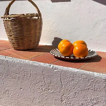 Studio Oliveira Comfortable For Two People