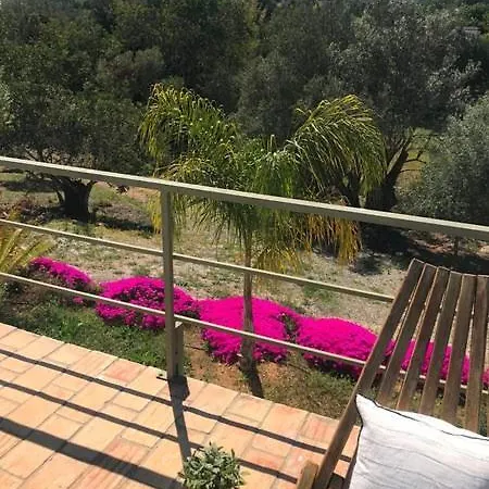 Studio Oliveira Comfortable For Two People *